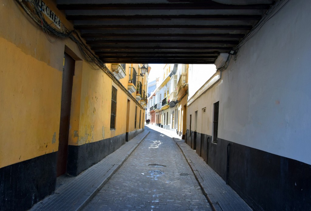 Foto: Dirección al Campo del Sur - Cádiz (Andalucía), España