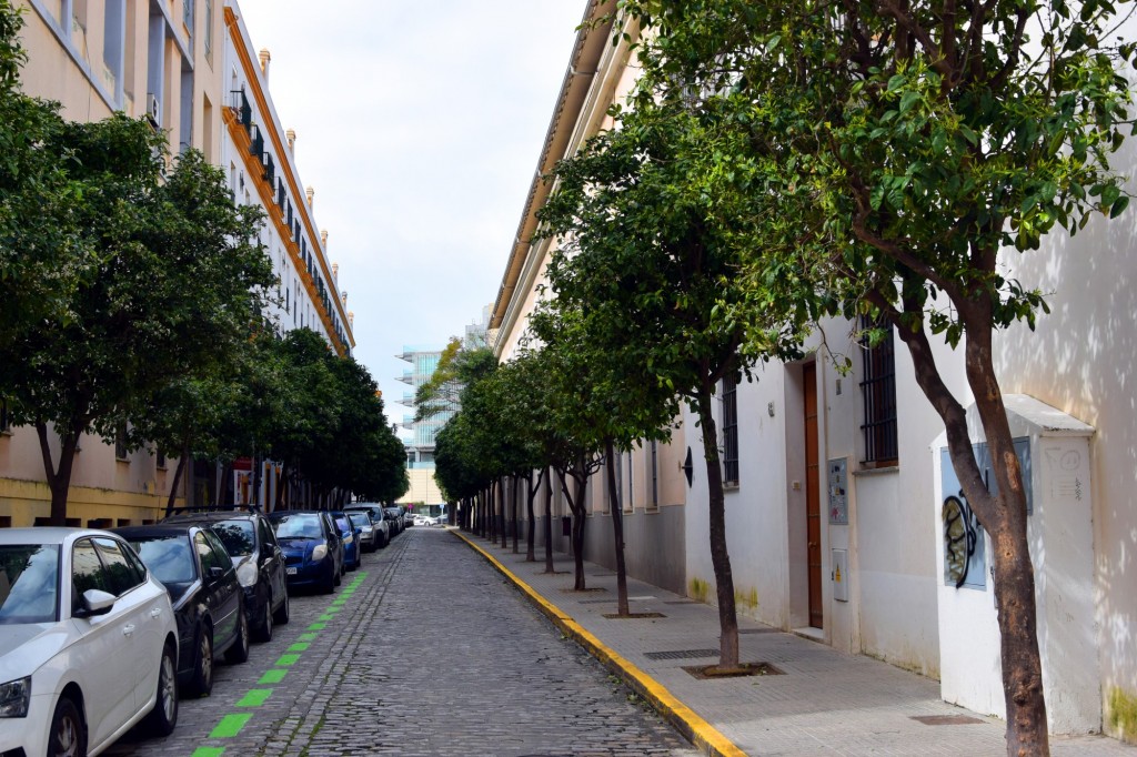 Foto: Calle Benito Pérez Galdos - Cádiz (Andalucía), España