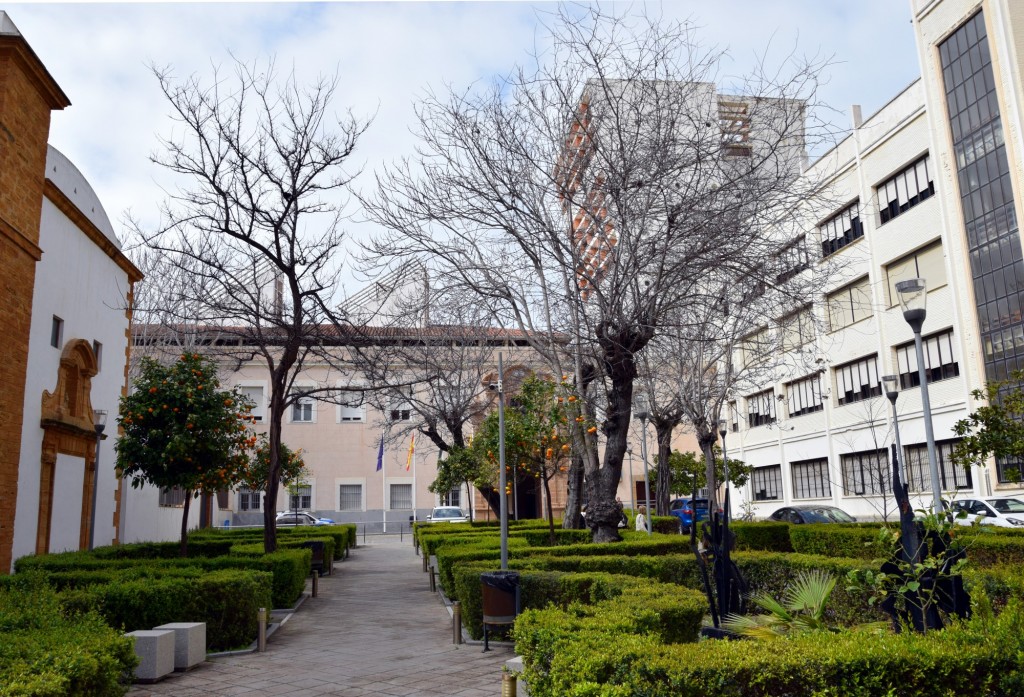Foto: Jardines del Hospital Real - Cádiz (Andalucía), España