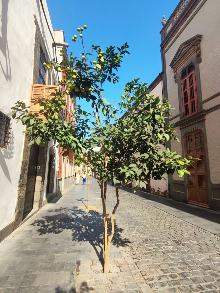 Foto: Calle Reyes Católicos - Las Palmas de Gran Canaria (Las Palmas), España