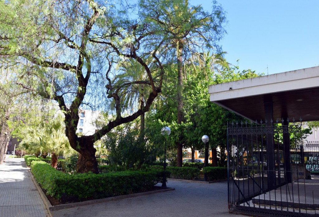 Foto: Plaza San Severiano - Cádiz (Andalucía), España