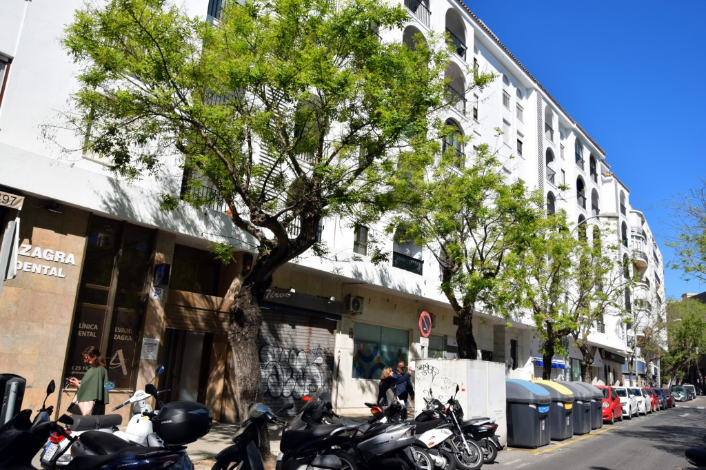 Foto: Edificio Botánico - Cádiz (Andalucía), España