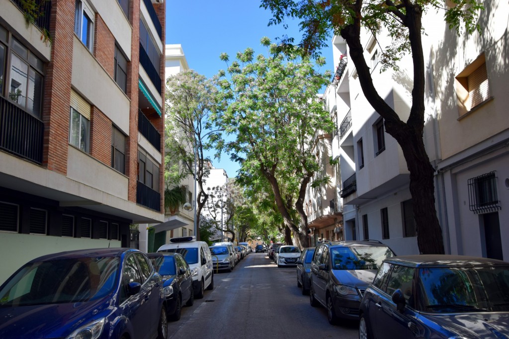Foto: Calle Santa Cruz de Tenerife - Cádiz (Andalucía), España