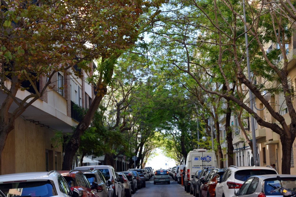 Foto: Avenida de la Marina - Cádiz (Andalucía), España