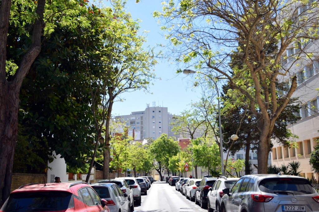 Foto: Calle Acacias - Cádiz (Andalucía), España