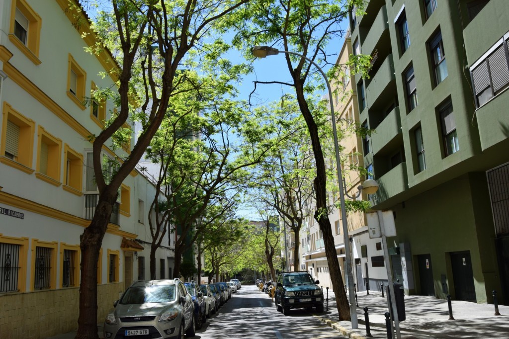 Foto: Calle General Ricardos - Cádiz (Andalucía), España