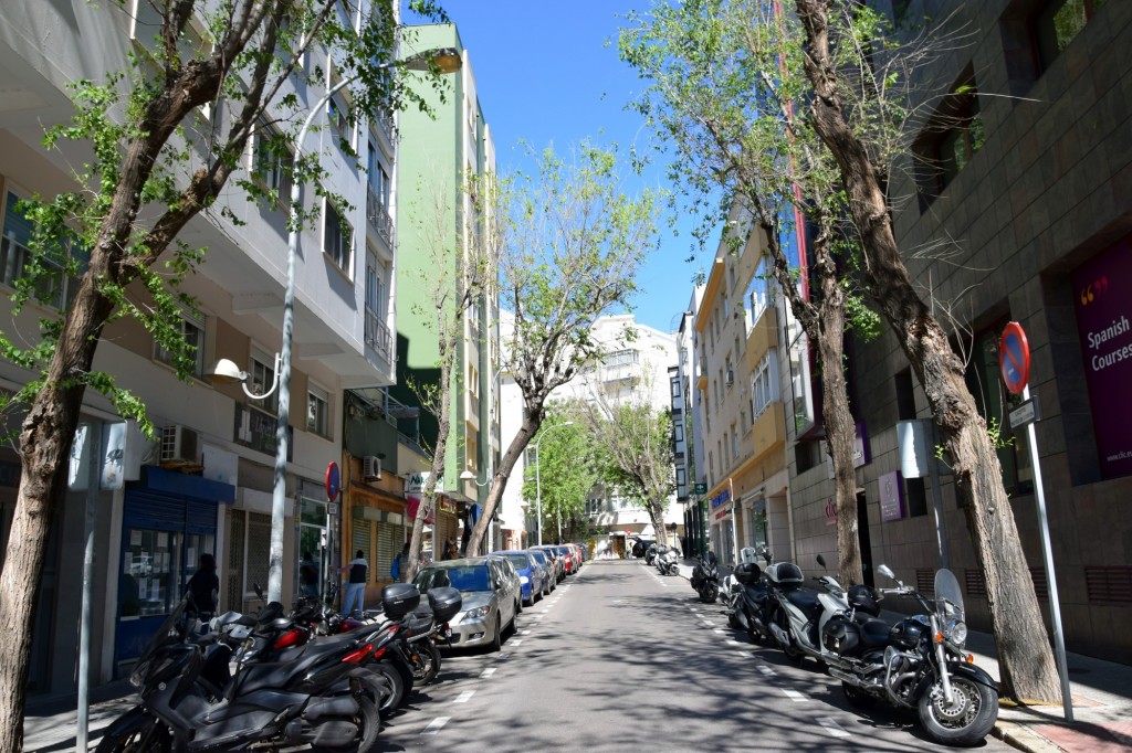 Foto: Calle Acacias - Cádiz (Andalucía), España