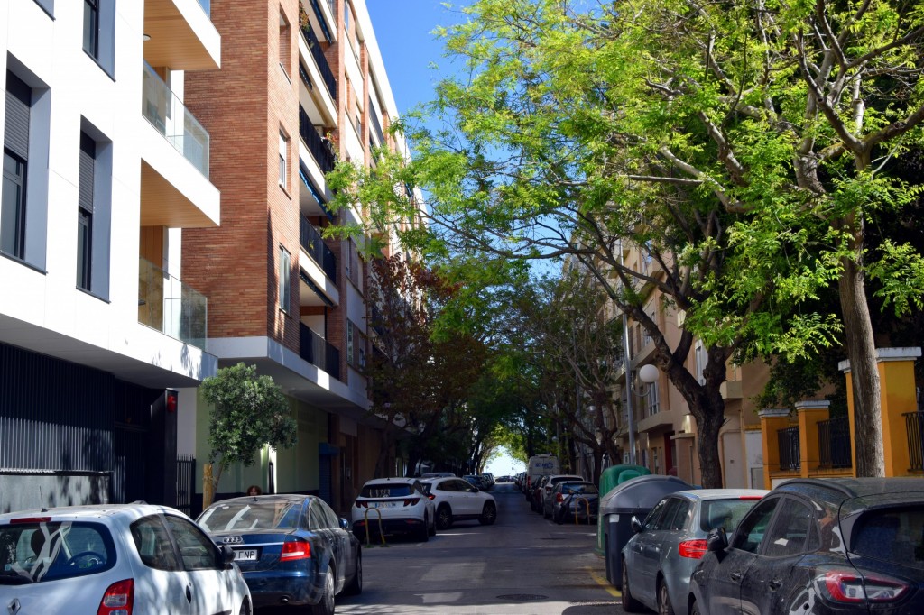 Foto: Avenida de la Marina - Cádiz (Andalucía), España