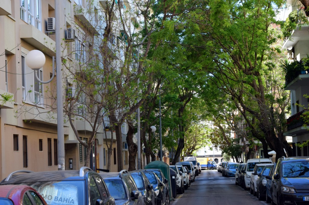 Foto: Avenida de la Marina - Cádiz (Andalucía), España