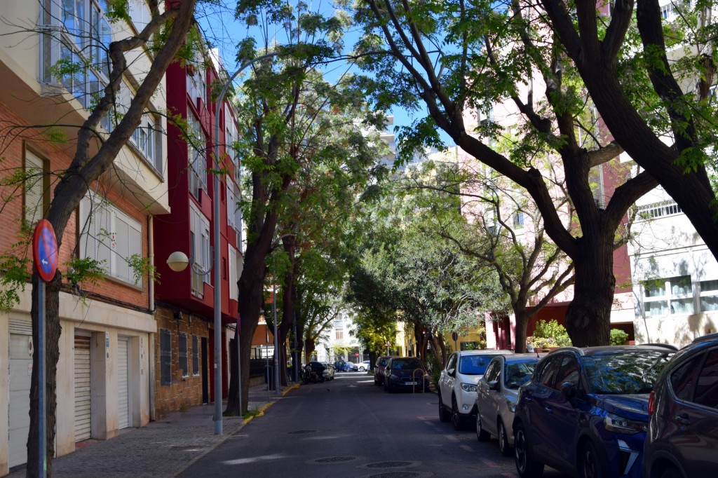 Foto: Calle Hibiscos - Cádiz (Andalucía), España