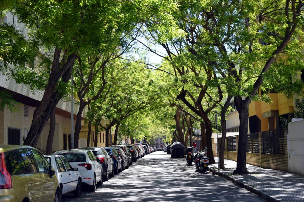Foto: Calle Tamarindos - Cádiz (Andalucía), España