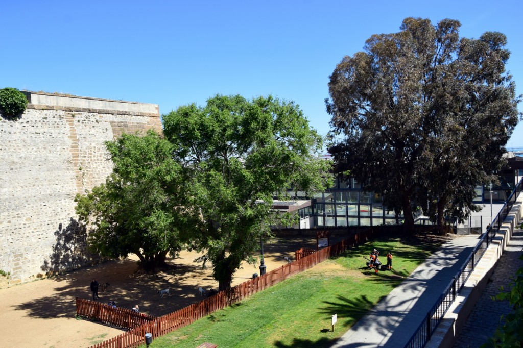 Foto: Parque Canino Pelícano - Cádiz (Andalucía), España