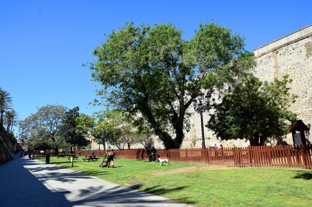 Foto: Parque Pelícano - Cádiz (Andalucía), España