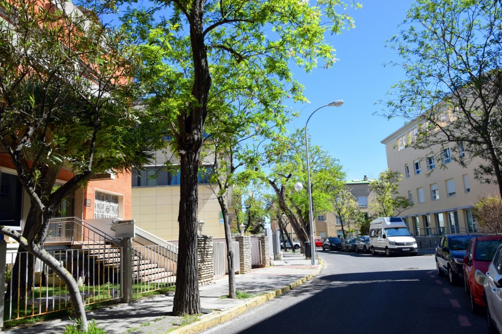Foto: Calle Jacintos - Cádiz (Andalucía), España