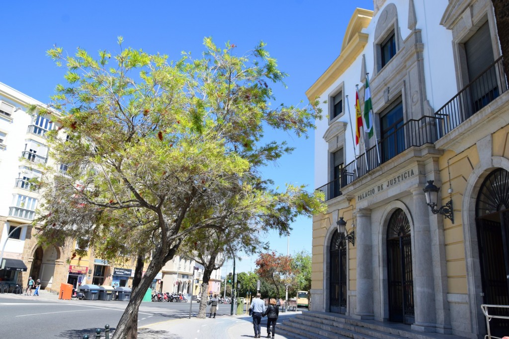 Foto: Cuesta de las Calesas - Cádiz (Andalucía), España
