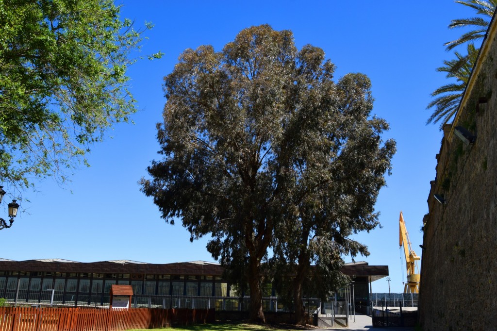 Foto de Cádiz (Andalucía), España