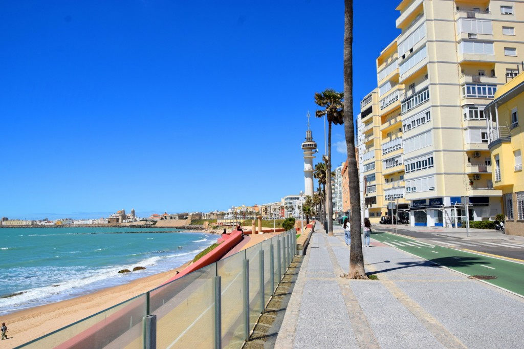 Foto: Av. Alcalde Manuel de la Pinta - Cádiz (Andalucía), España