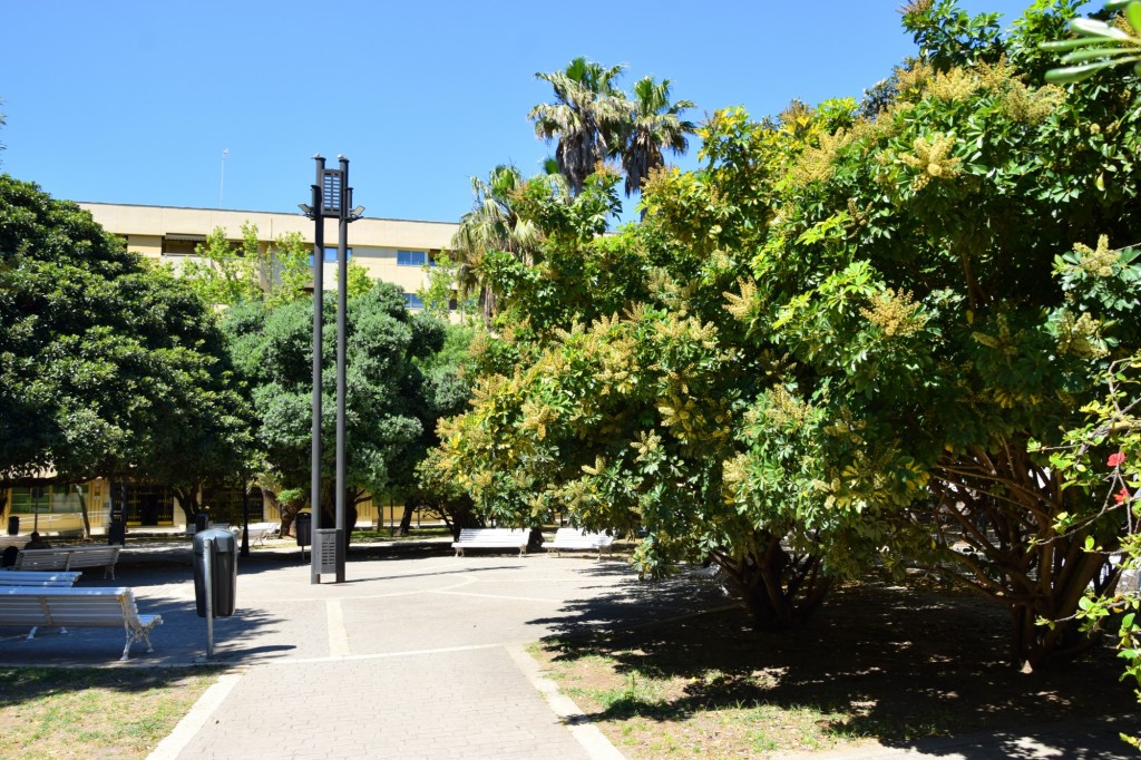 Foto: Parque Erytheia - Cádiz (Andalucía), España