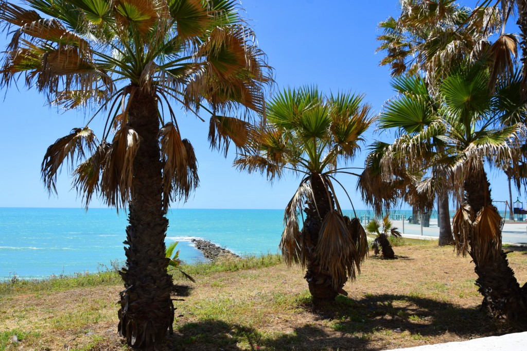Foto de Cádiz (Andalucía), España
