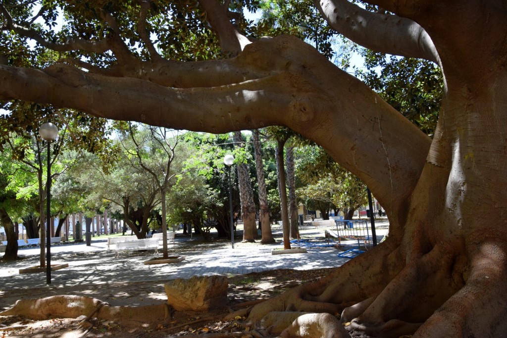 Foto de Cádiz (Andalucía), España