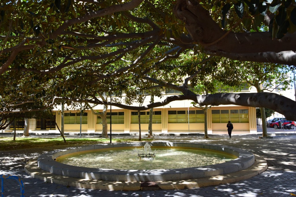 Foto: La Fuente - Cádiz (Andalucía), España