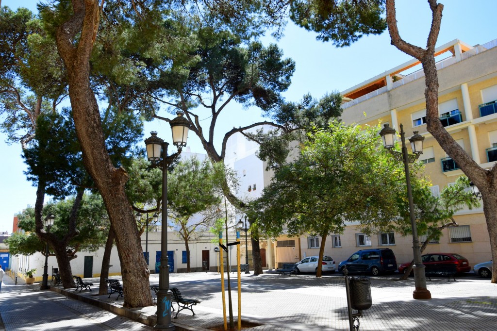 Foto: Plaza del Arbol - Cádiz (Andalucía), España