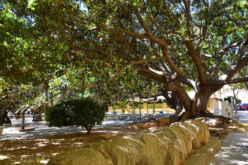 Foto de Cádiz (Andalucía), España