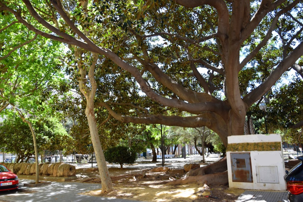 Foto de Cádiz (Andalucía), España