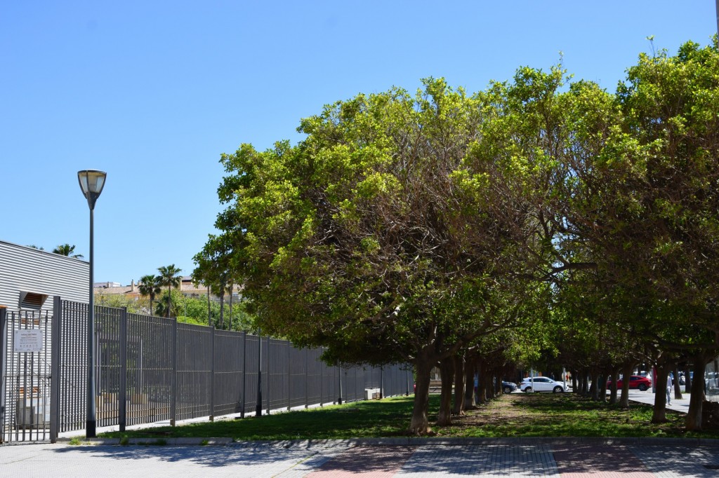 Foto: Parque Varela Norte - Cádiz (Andalucía), España