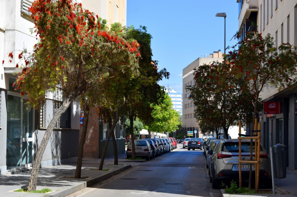 Foto: Avenida Portugal - Cádiz (Andalucía), España