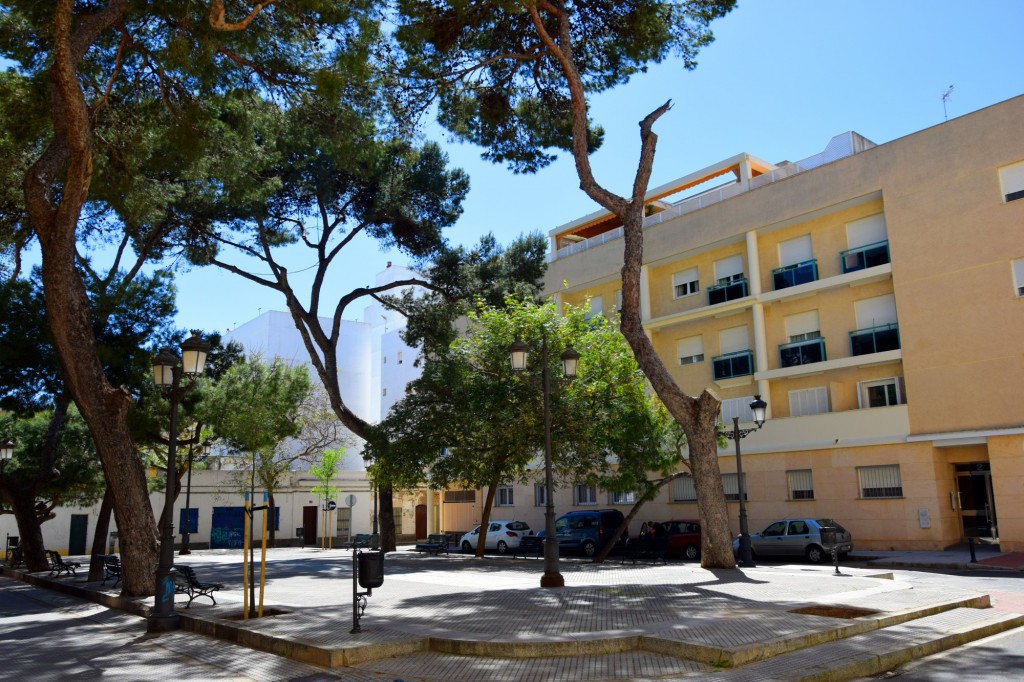 Foto: Plaza del Arbol - Cádiz (Andalucía), España
