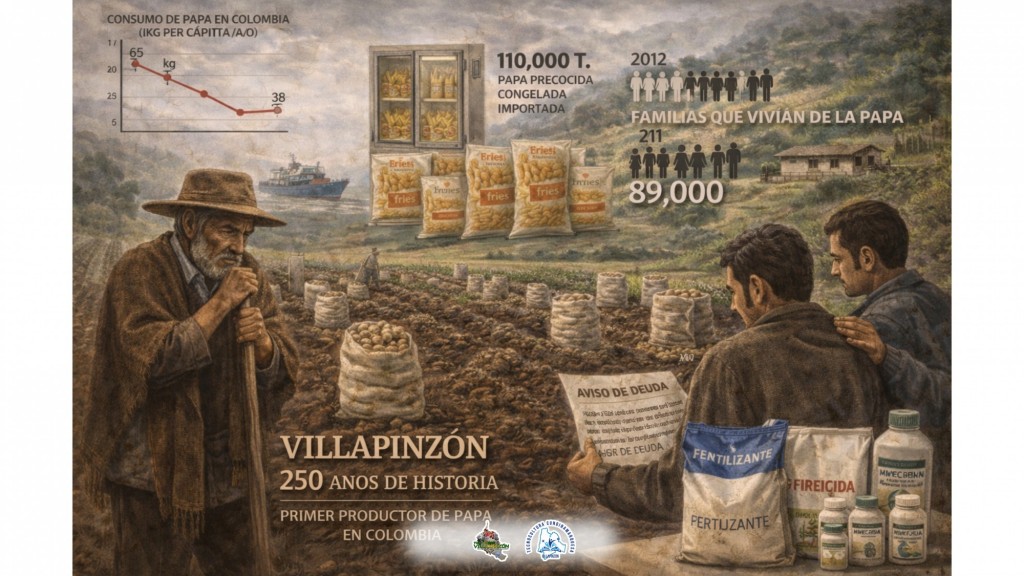Foto: la papa de Villapinzon - Villapinzon (Cundinamarca), Colombia