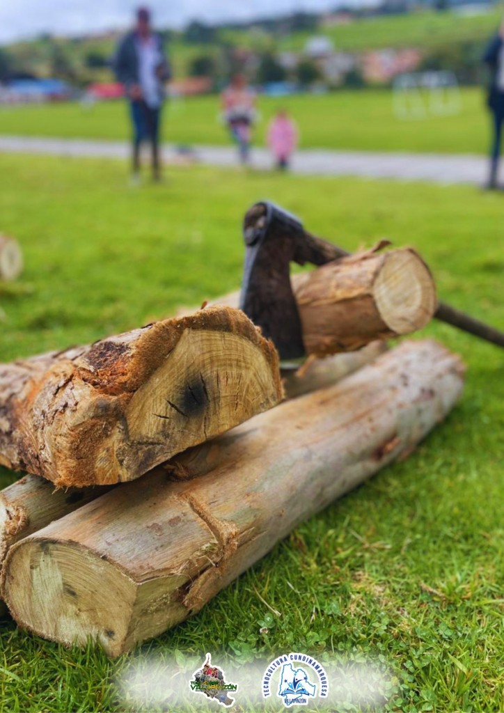 Foto: juegos tradicionales en Villapinzon - Villapinzon (Cundinamarca), Colombia