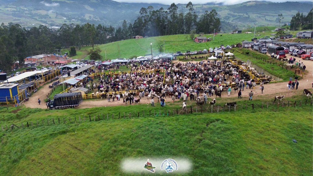 Foto: plazuela del ganado Villapinzon - Villapinzon (Cundinamarca), Colombia
