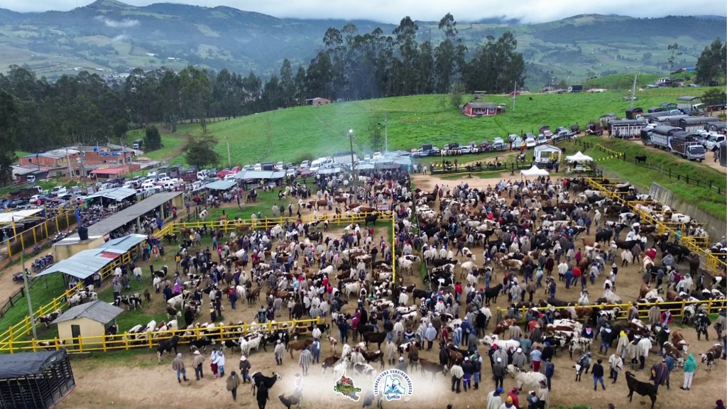 Foto: plazuela del ganado Villapinzon - Villapinzon (Cundinamarca), Colombia