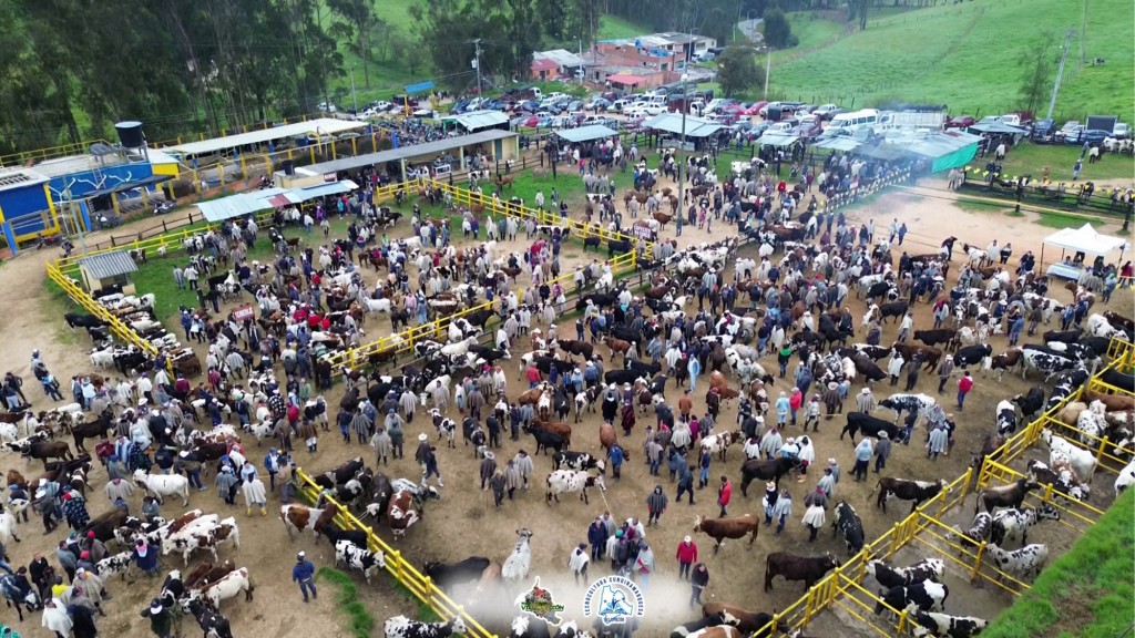 Foto: plazuela del ganado Villapinzon - Villapinzon (Córdoba), Colombia
