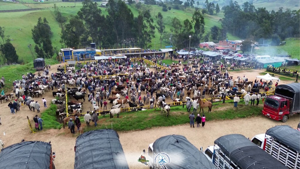 Foto: villa - Villapinzon (Cundinamarca), Colombia