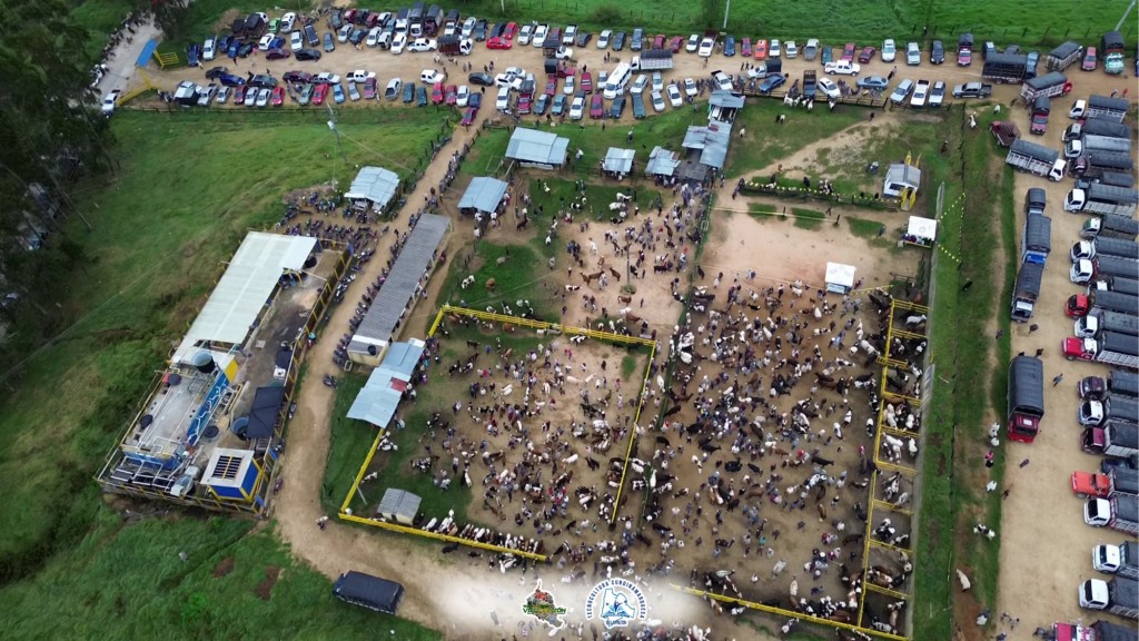 Foto: plazuela del ganado Villapinzon - Villapinzon (Cundinamarca), Colombia