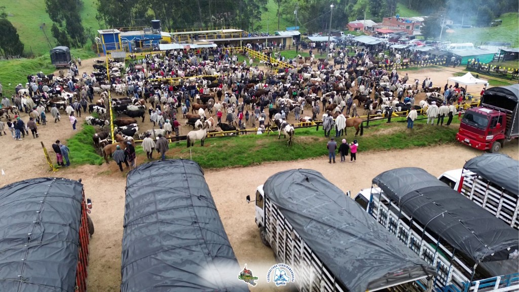 Foto: plazuela del ganado Villapinzon - Villapinzon (Cundinamarca), Colombia