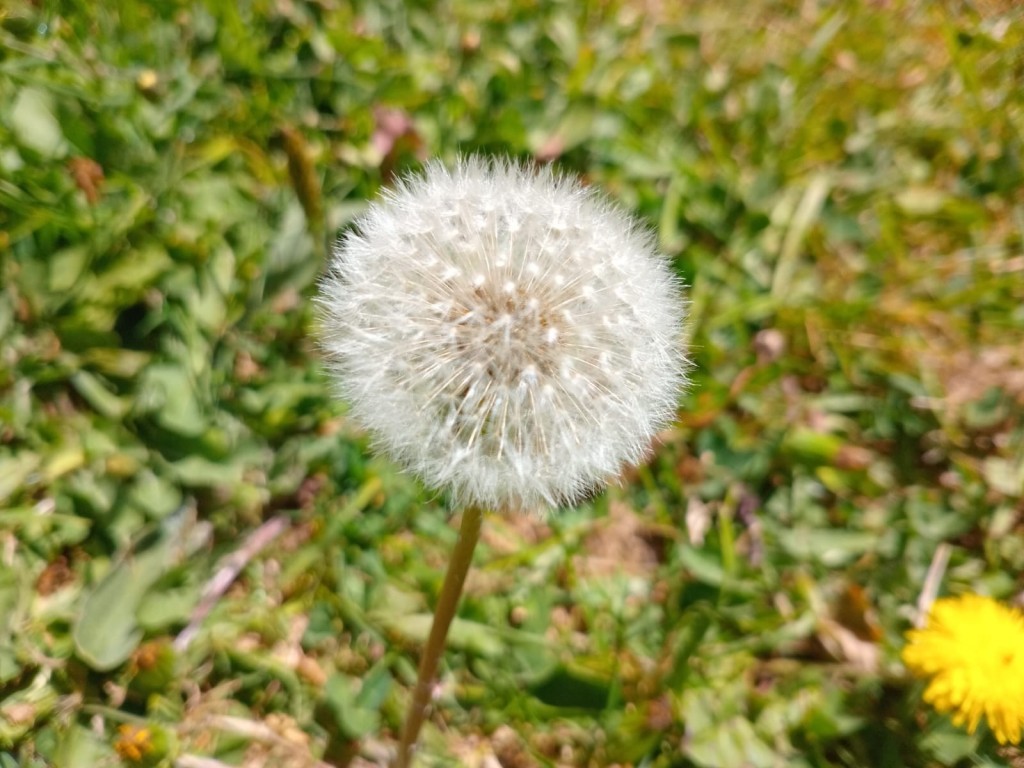 Foto: Hotel Selva Madre - Cañon del Guarco (Cartago), Costa Rica