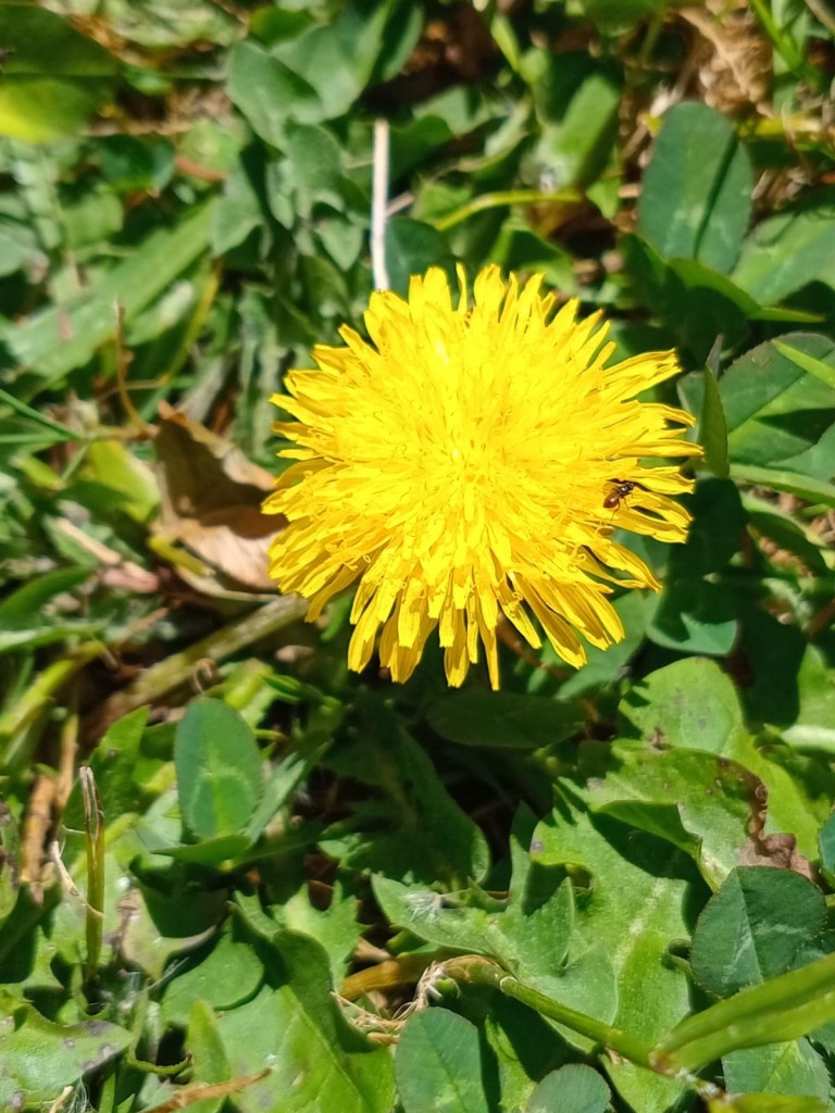 Foto: Hotel Selva Madre - Cañon del Guarco (Cartago), Costa Rica