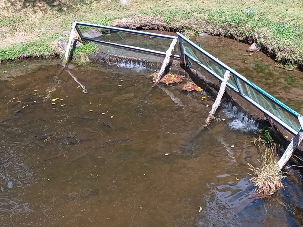 Foto: Hotel Selva Madre - Cañon del Guarco (Cartago), Costa Rica