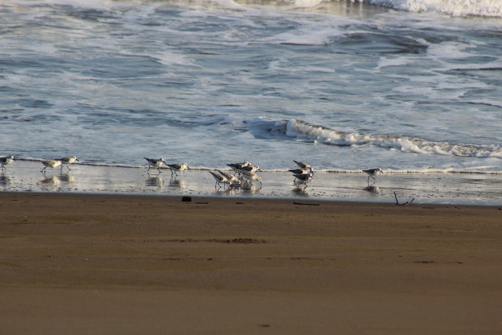 Foto de Playa central (Puntarenas), Costa Rica