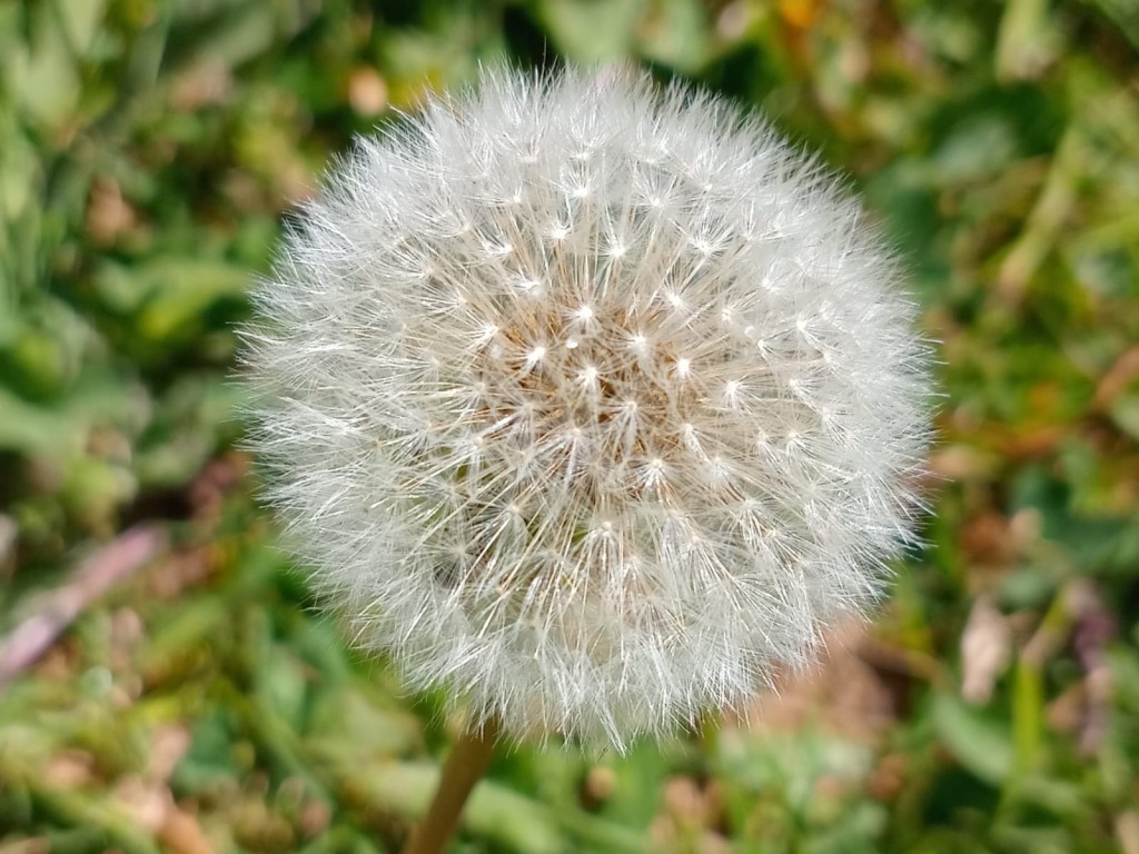 Foto: Hotel Selva Madre - Cañon del Guarco (Cartago), Costa Rica
