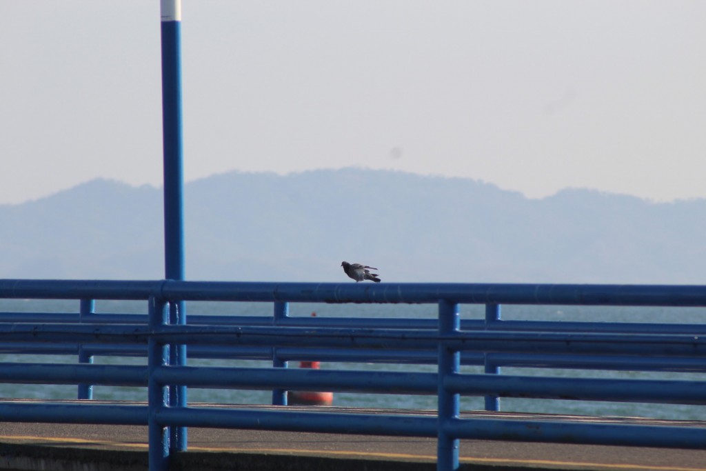 Foto de Playa central (Puntarenas), Costa Rica