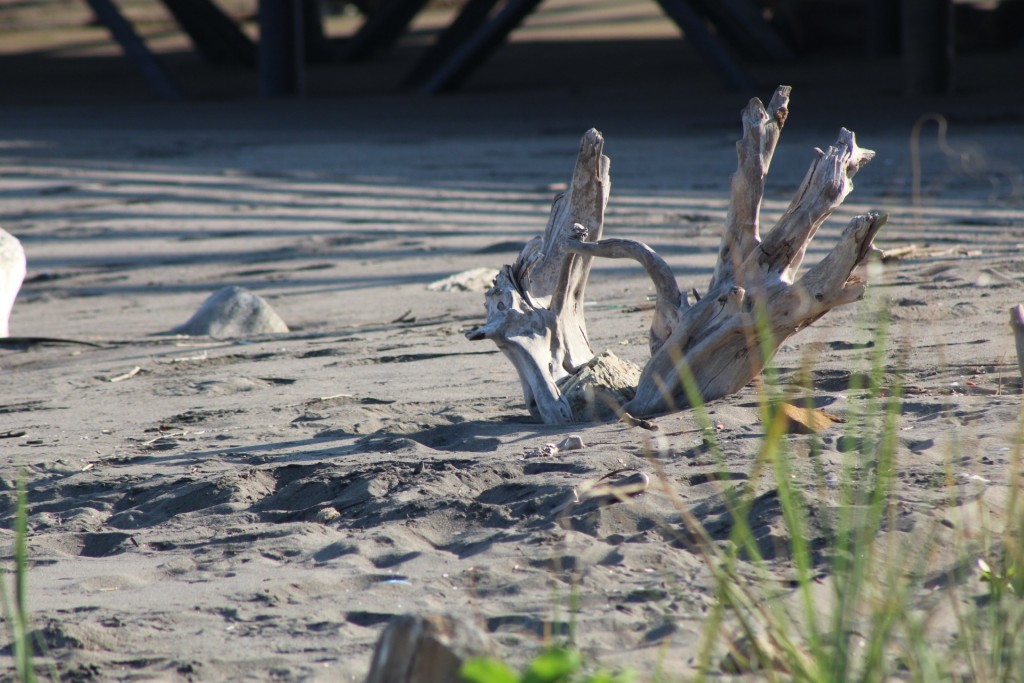 Foto de Playa central (Puntarenas), Costa Rica