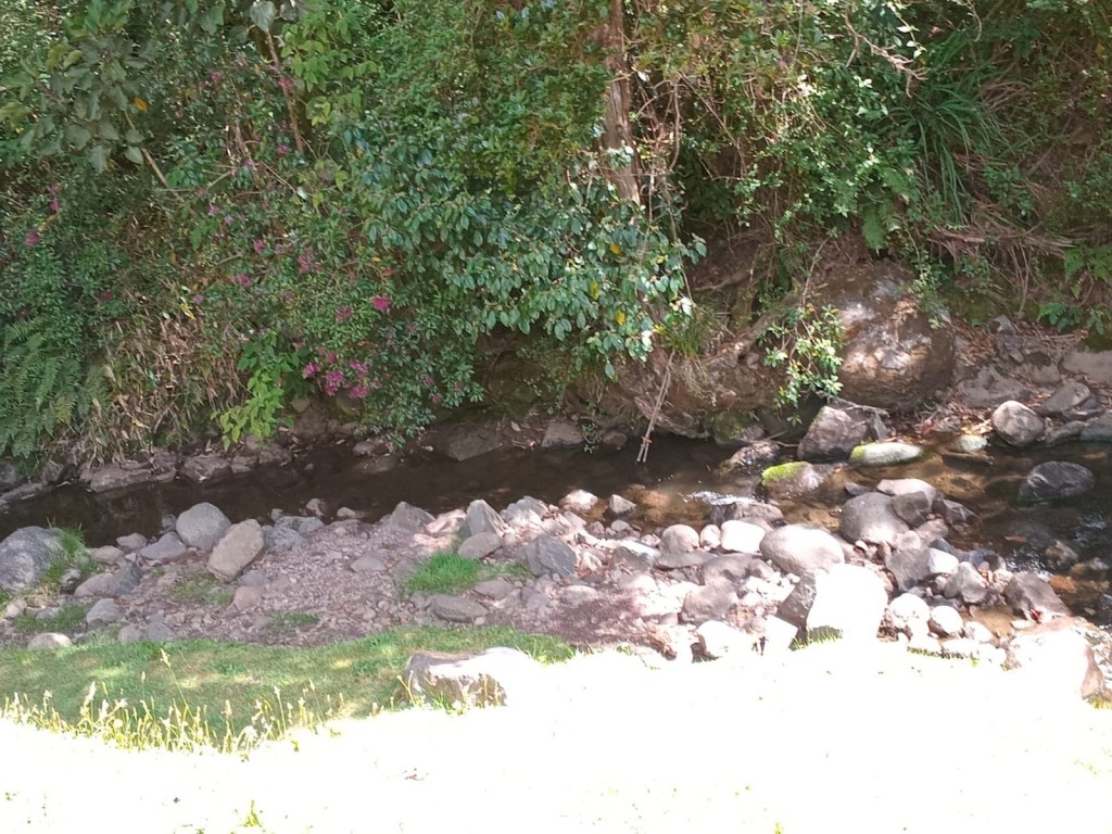 Foto: Hotel Selva Madre - Cañon del Guarco (Cartago), Costa Rica
