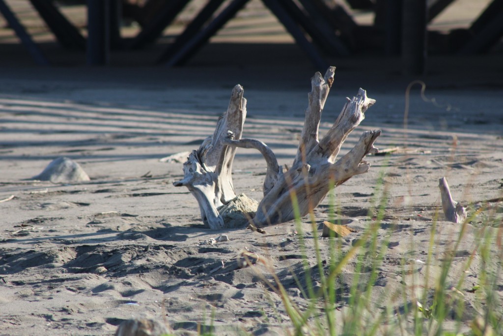 Foto de Playa central (Puntarenas), Costa Rica