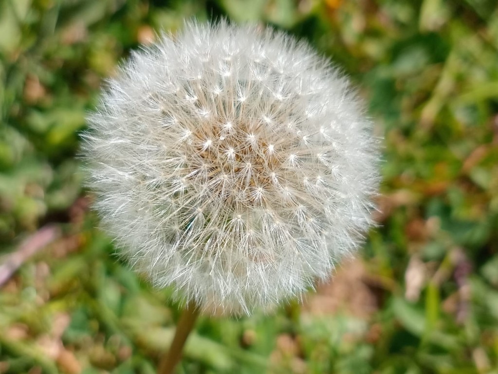 Foto: Hotel Selva Madre - Cañon del Guarco (Cartago), Costa Rica