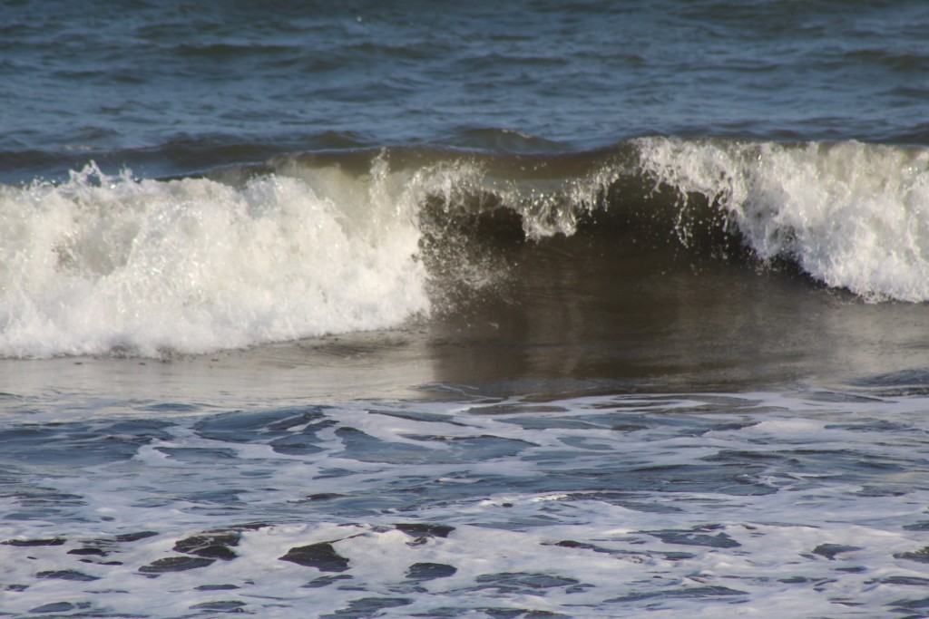 Foto de Playa central (Puntarenas), Costa Rica